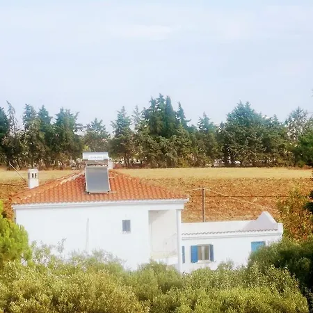Maison Des Oliviers Afythos 9 Personnes 4chambres Piscine Privee *